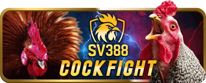 Giải đấu slot